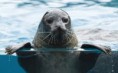 /album/fotogaleria-animales/images-2-jpg/